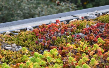 the cost of Merrivale green roof installation