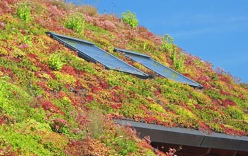 Merrivale living roof systems