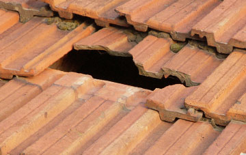 roof repair Merrivale